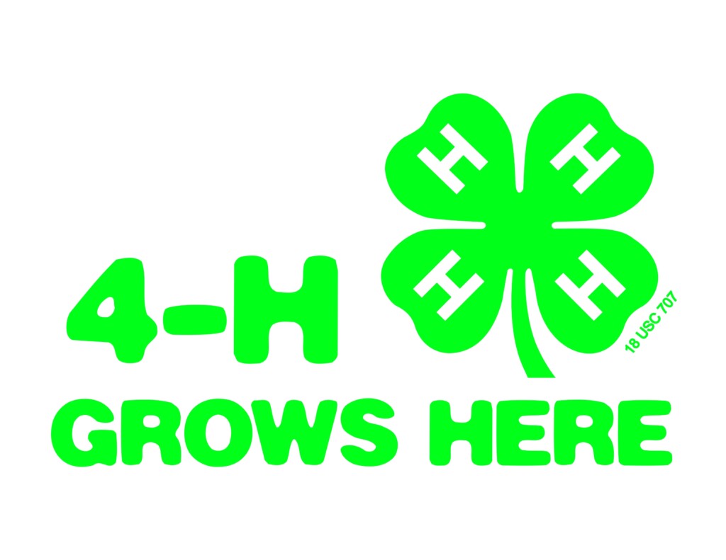 4 H Brand Resources Montana 4H Montana State University Extension 