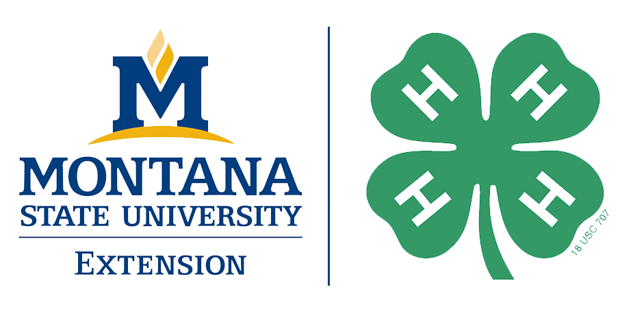4 H Brand Resources Montana 4H Montana State University Extension