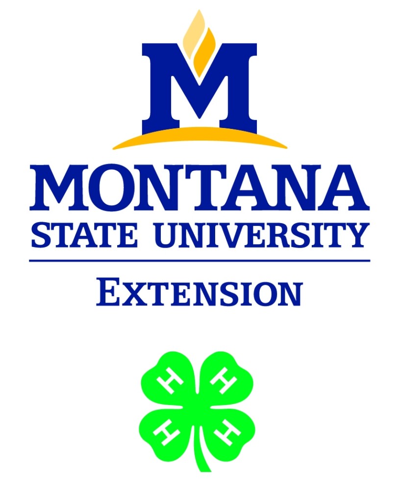 4 H Marketing Communications Montana 4H Montana State University 