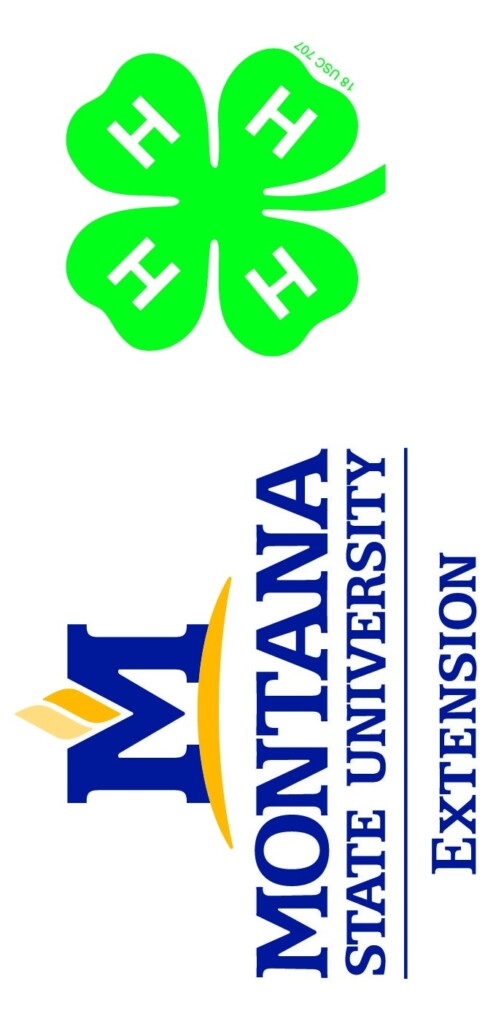 4 H Marketing Communications Montana 4H Montana State University 