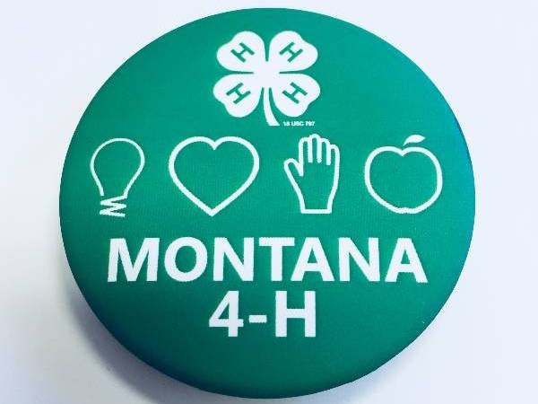 4 H Shop Montana 4H Montana State University Extension Montana 