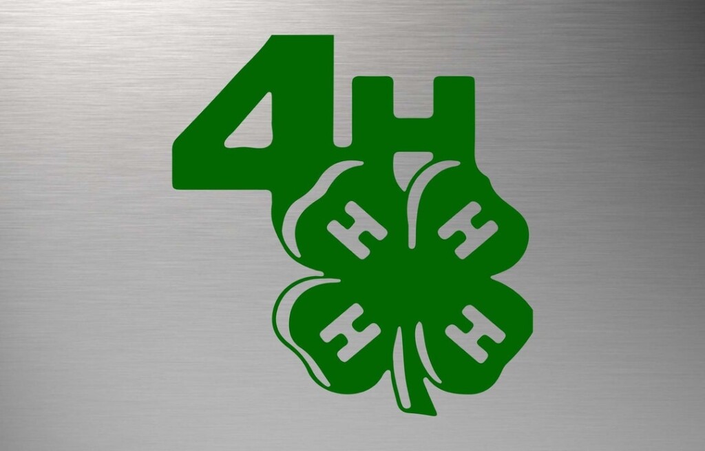 4H Svg 4 H Clover Svg 4 H Svg 4H Logo Svg 4H Vector 4H Silhouette 
