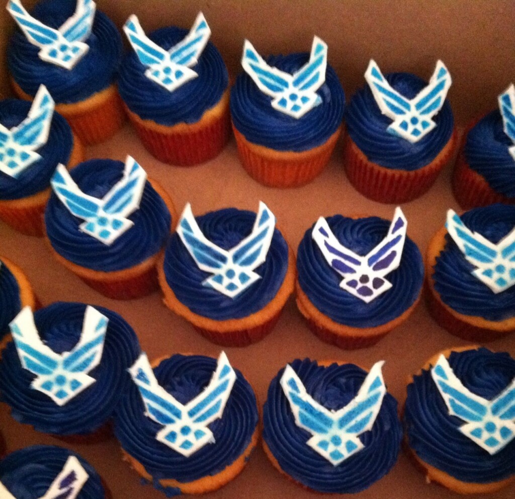 Air Force Cupcakes Airplane Birthday Party Retirement Party 