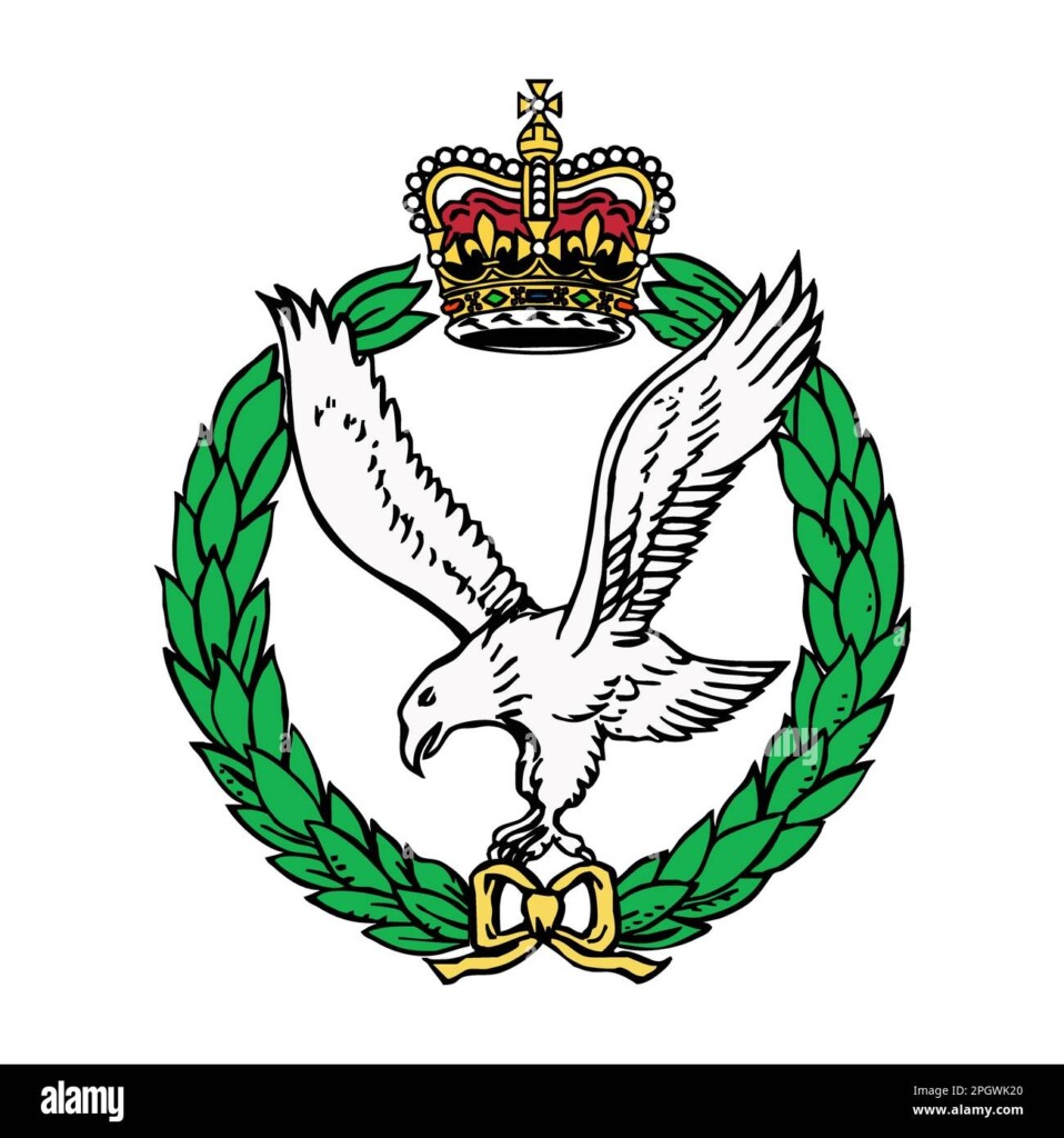 Army Air Corps Badge Stock Vector Image Art Alamy