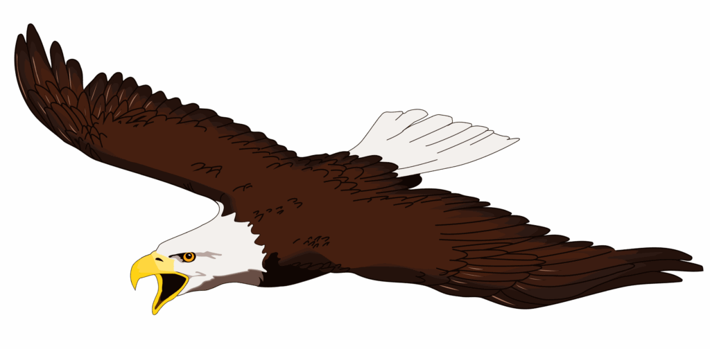 Free Eagle Cliparts Download Free Eagle Cliparts Png Images Free 
