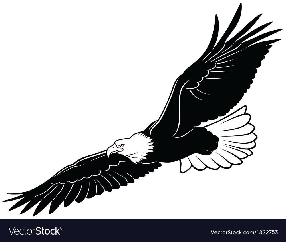 Free Printable Soaring Bald Eagle Pictures