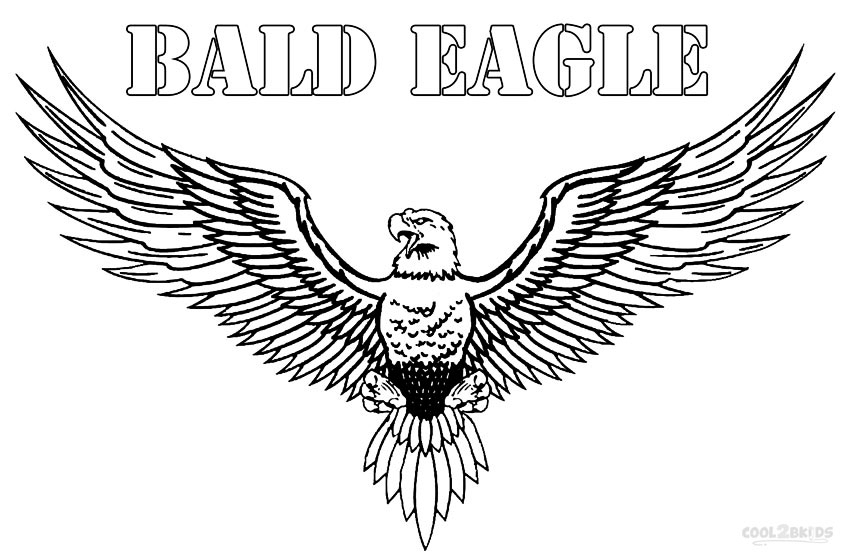 Printable Bald Eagle Coloring Pages For Kids Cool2bKids