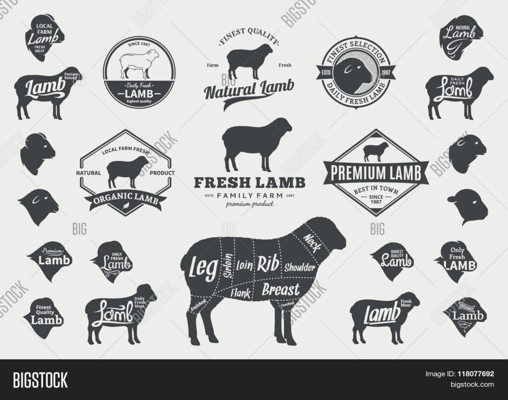 Vector Lamb Logo Vector Photo Free Trial Bigstock